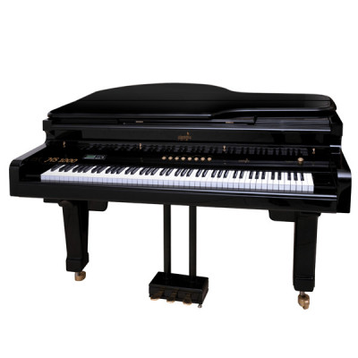 Piano Digital Harmonia Hs100 Semi Cauda