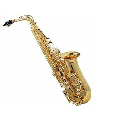 Saxofone Alto Michael Mib Laqueado Wasm35