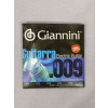 Caixa 12 Encordoamentos Guitarra Giannini 09 Niquel Geegst.9