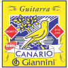 Encordoamento Guitarra Canario 010 Niquel Gesgt10 - 1