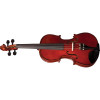 Violino Eagle Ve144 Profissional Rajado Completo 4/4 - 2