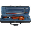 Violino Eagle Ve431 Profissional Completo 3/4 - 3