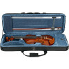 Violino Eagle Ve441 Profissional Completo 4/4 + Afinador E Suporte Partitura Brinde - 5