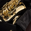 Saxofone Alto Eagle Mib Laqueado Sa501 + Acessorios - 4